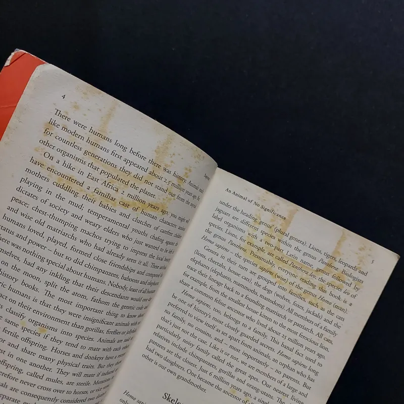 [Sách Cũ Ngoại Văn] Sapiens - Yuval Noah Harari 792444