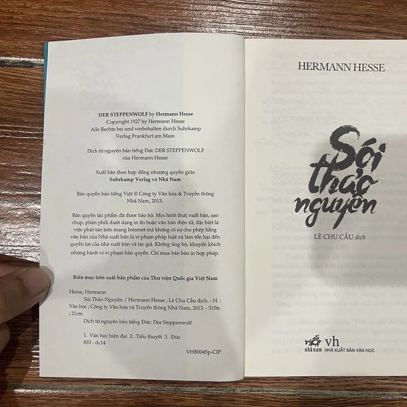 SÓI THẢO NGUYÊN - HERMANN HESSE (8) 593310