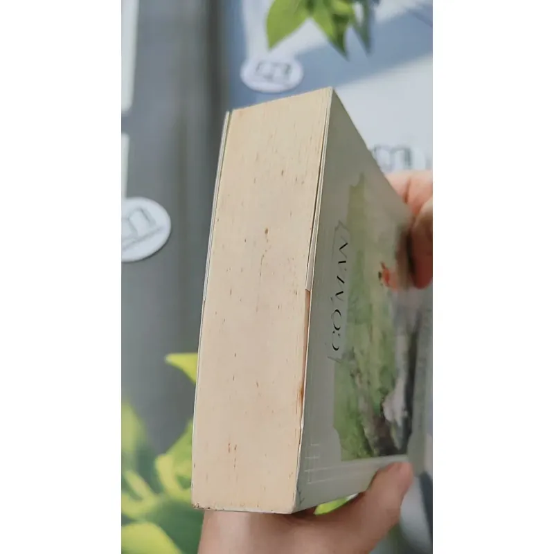 Yêu Em Từ Cái Nhìn Đầu Tiên - Cố Mạn 744698