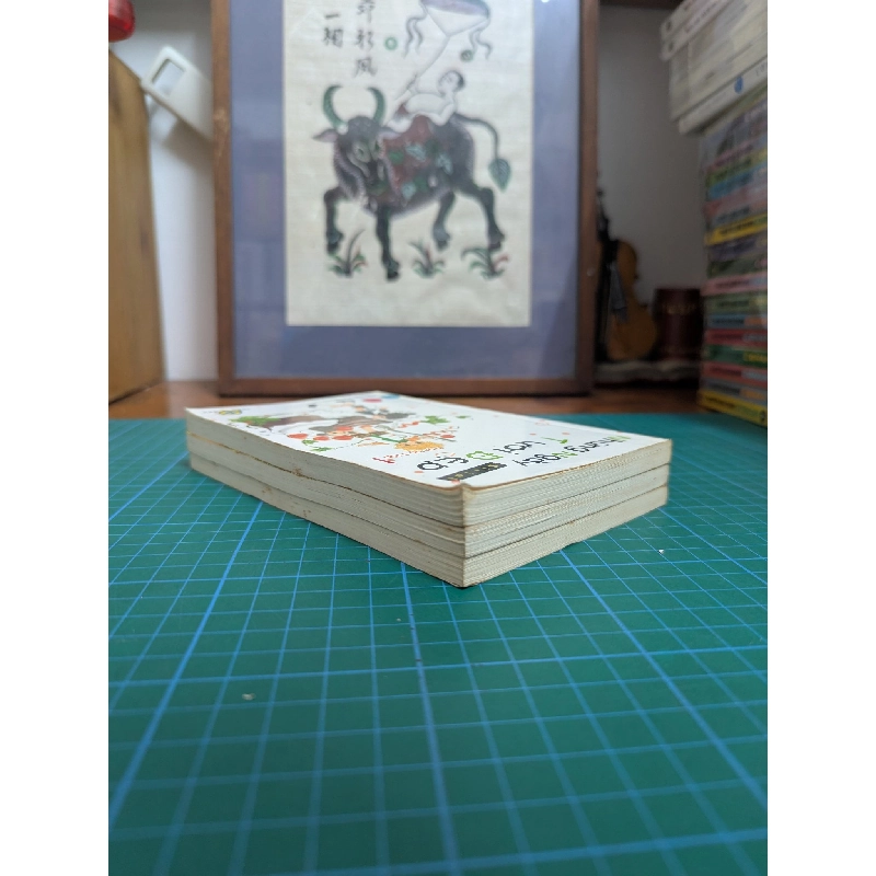 Truyện tranh những ngày tươi đẹp 497102