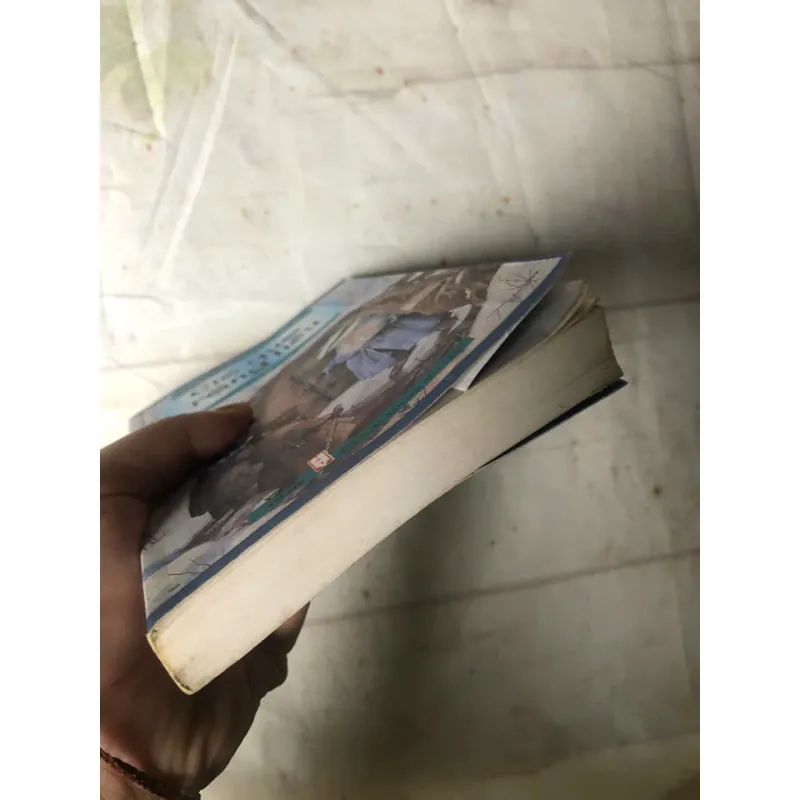 Sách cũ Gió Qua Rặng Liễu - Kenneth Grahame 800737