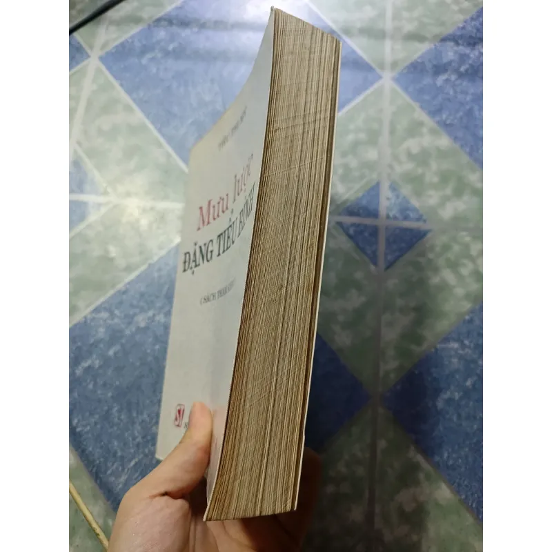 Mưu lược Đặng Tiểu Bình - Tiêu Thi Mỹ 993586