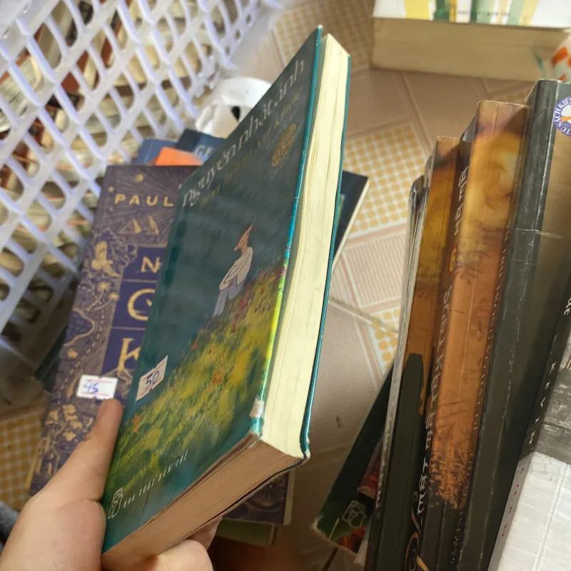 Hoa Hồng xứ khác  796553