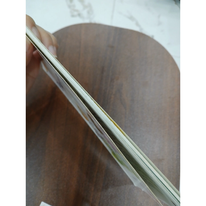 The Playground Bully - Bernice Chardiet, Grace Maccarone & G. Brian Karas 543124