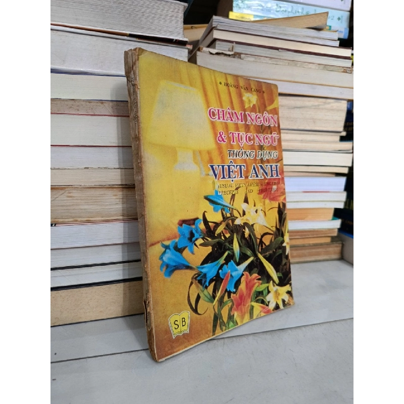 Châm ngôn và tục ngữ thông dụng Việt-Anh - Hoàng Văn Cang 367169