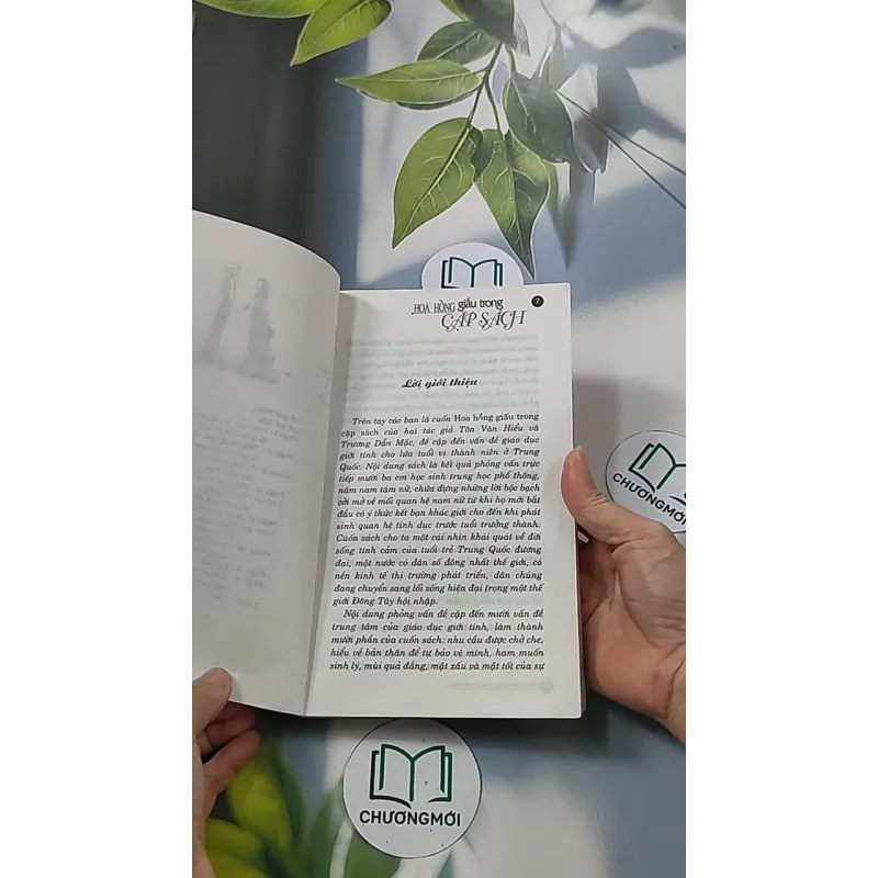 Hoa hồng dấu trong cặp sách - Tôn Văn Hiểu 688652