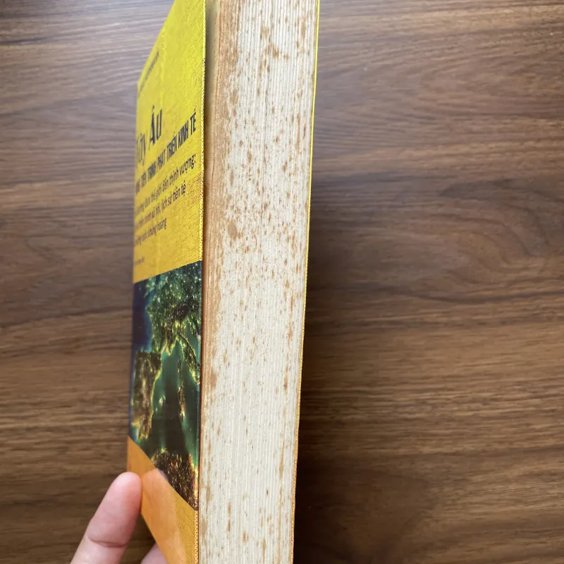 Tây Âu trong tiến trình phát triển kinh tế - Ulrike Herrmann 934176