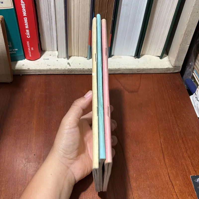 [Sách Photo] - II Sách Phật Giáo: Combo 3 Cuốn Sách Phật Giáo Photo 720829