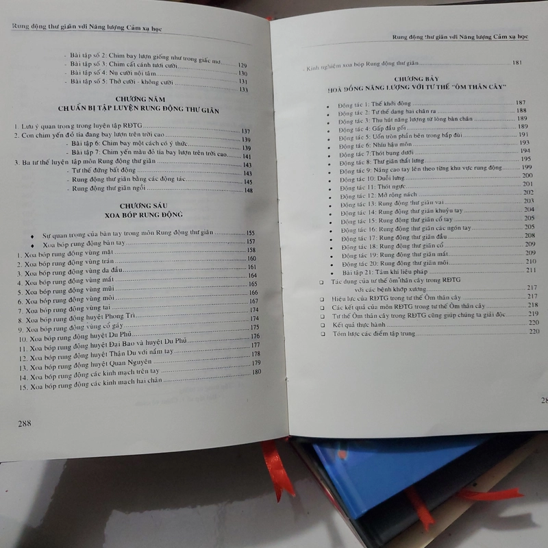 Rung động thư giản với năng lượng cảm xạ học  330441