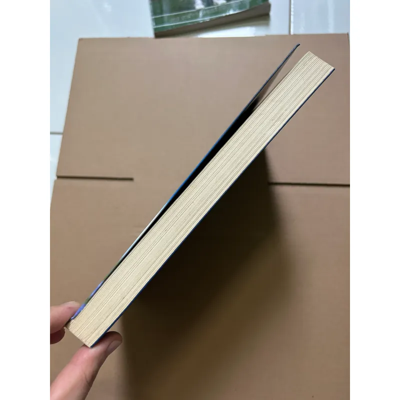 Để gió cuốn đi - Ái Vân 748225