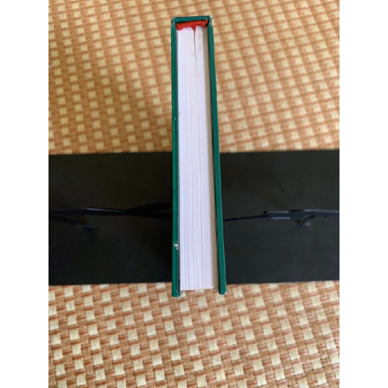 Đa dạng tôn giáo ở Việt Nam hiện nay.Những vấn đề ly luận và thực tiễn ( sách mới 90%, xuất bản 2016,NXB Phương Đông) tác giả Nguyễn Thị Minh Ngọc- STB3005- sách Tôn Giáo 351647