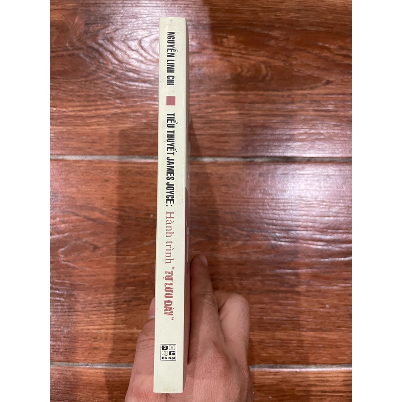 Tiểu thuyết James Joyce: Hành trình tự lưu đày (9) 466521
