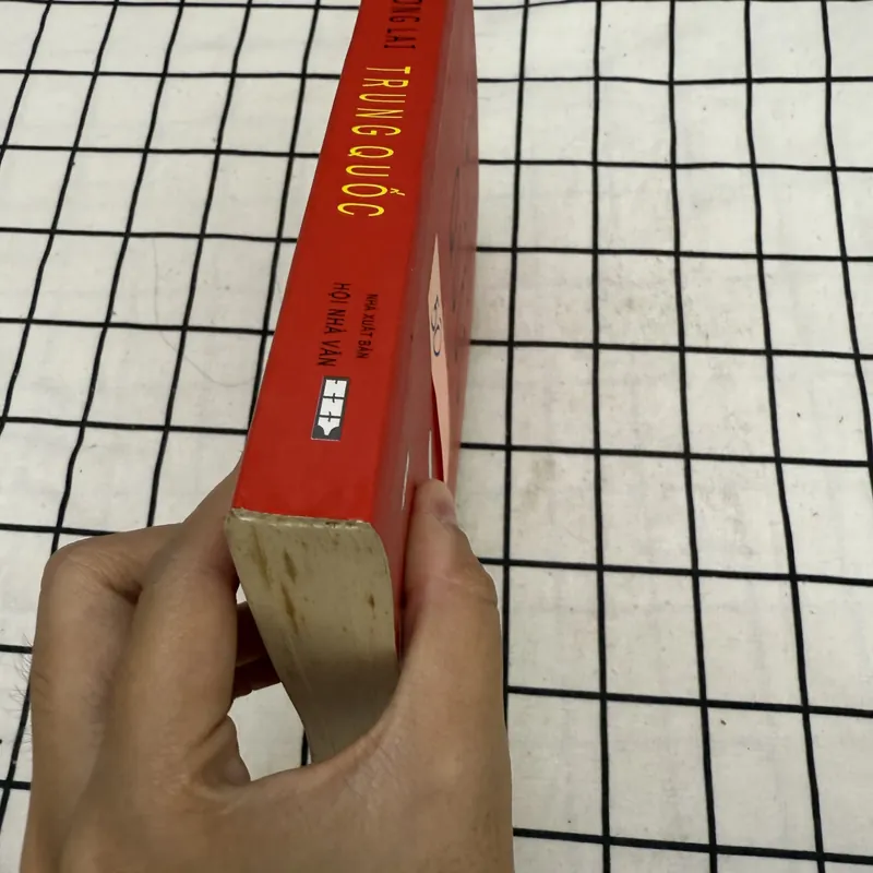 Tương lai Trung Quốc 597346