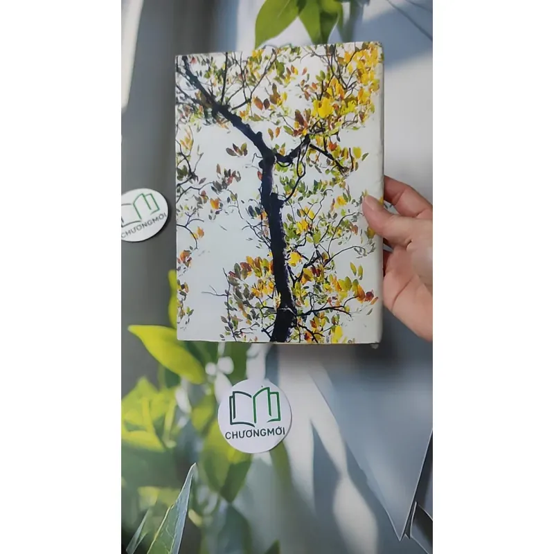 Cao Ly Đầu Hình 928568