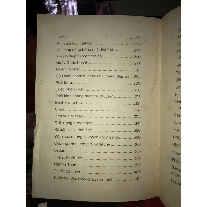 “Gái Tây ế” ở Hà Nội - Carolyn Shine  994239