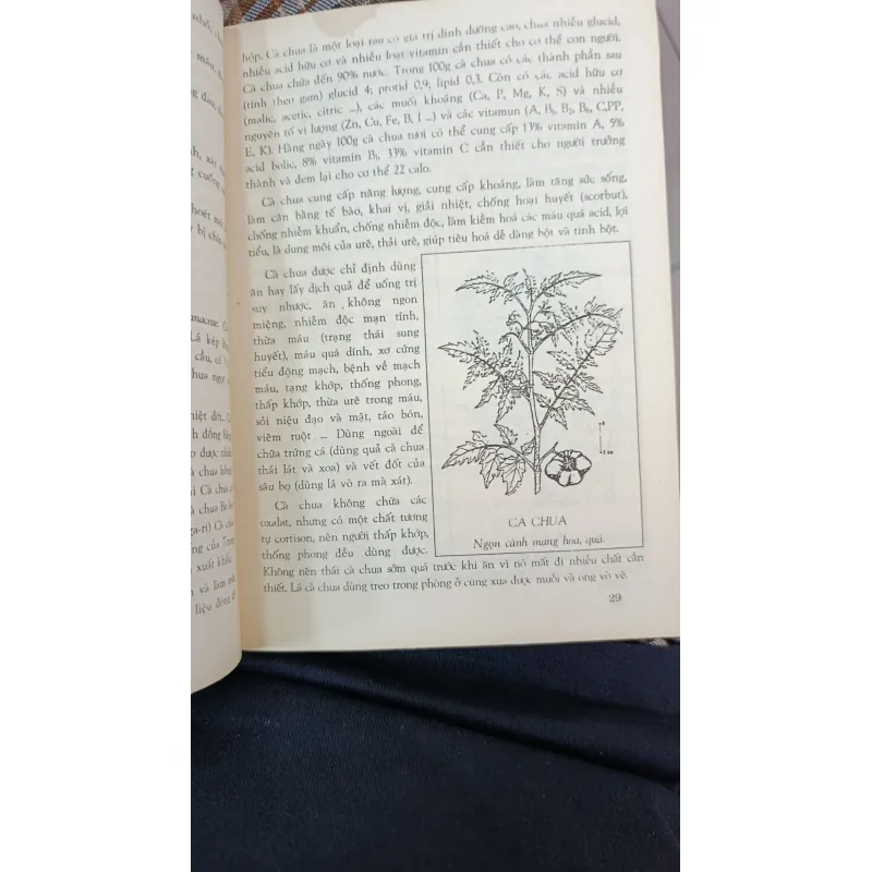 CÂY RAU LÀM THUỐC - VÕ VĂN CHI 746967