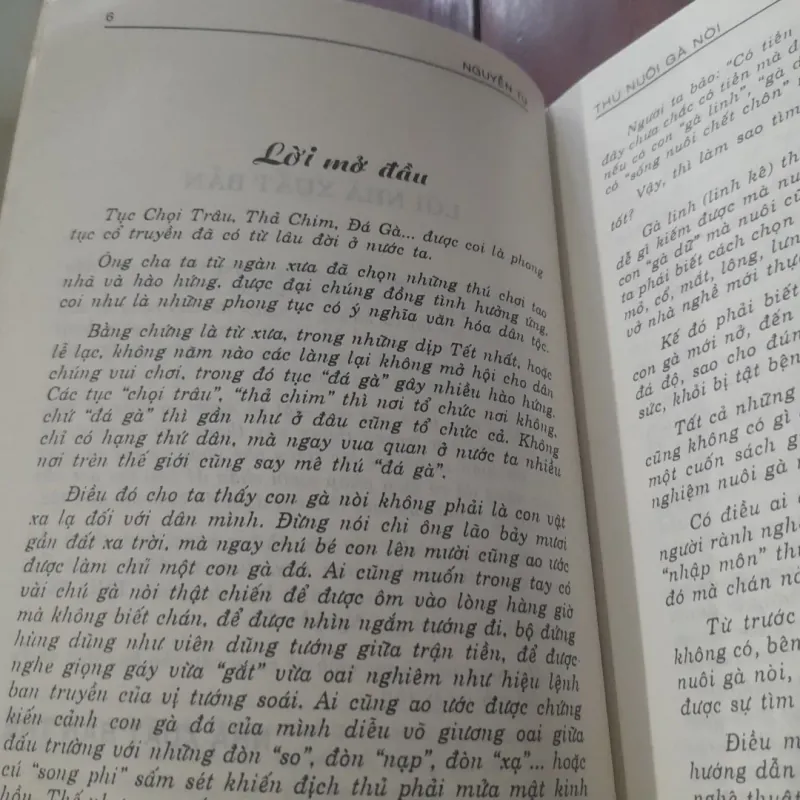 THÚ NUÔI GÀ NÒI 931198