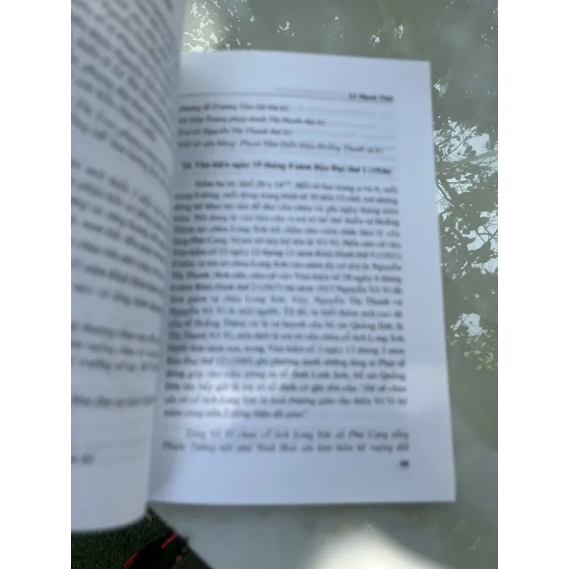 MỘT SỐ TƯ LIỆU MỚI VỀ BỒ TÁT QUẢNG ĐỨC - LÊ MẠNH THÁT 1030034