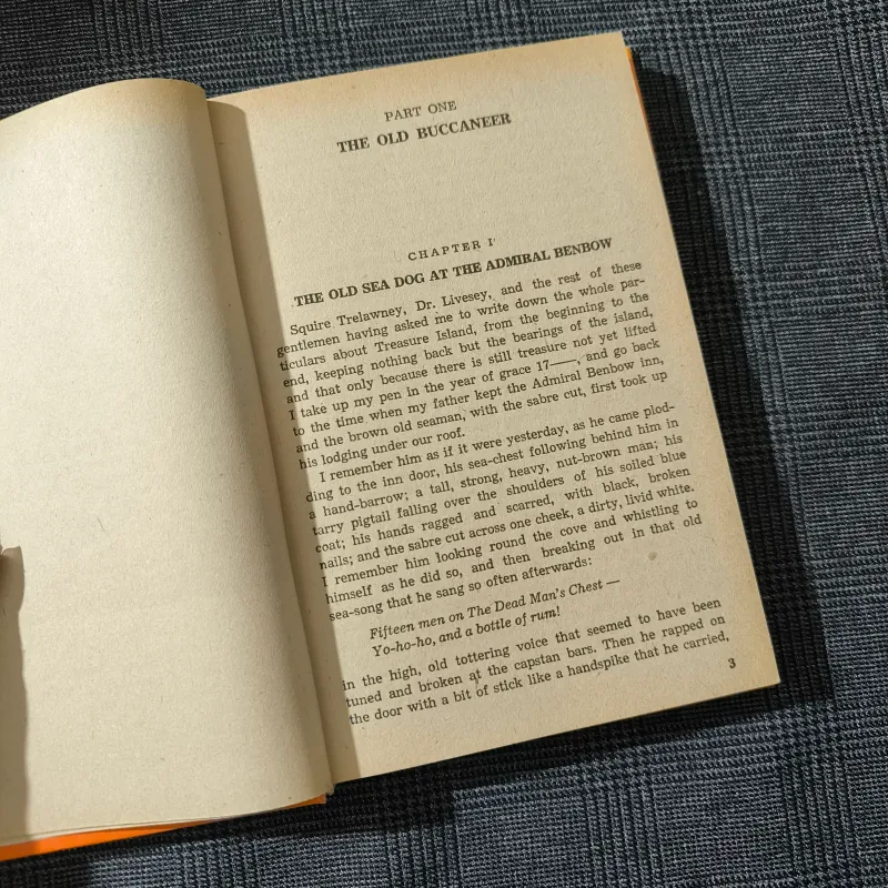 Treasure Island (Hardcover) - Robert Louis Stevenson - Classics 791347