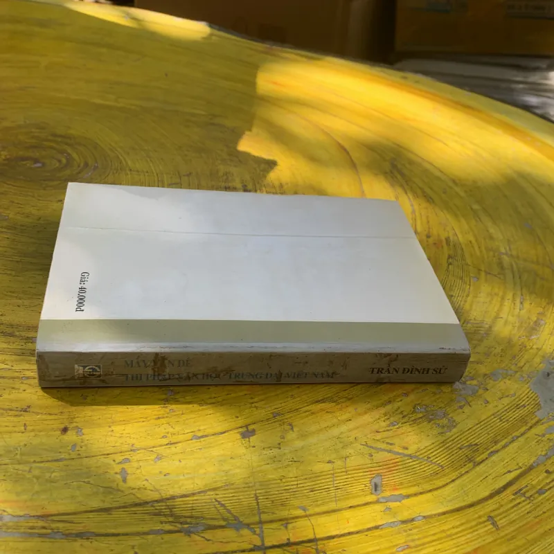 MẤY VẤN ĐỀ THI PHÁP VĂN HỌC TRUNG ĐẠI VIỆT NAM - TRẦN ĐÌNH SỬ  785625