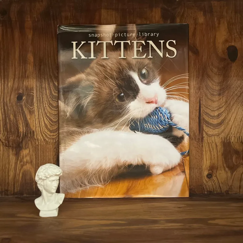 ✨𝑲𝒊𝒕𝒕𝒆𝒏𝒔✨ 693154