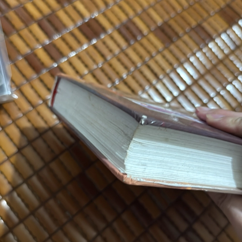 Dương Văn Minh tổng thống cuối cùng của chính quyền Sài Gòn - Nguyễn Trần Thiết 522249