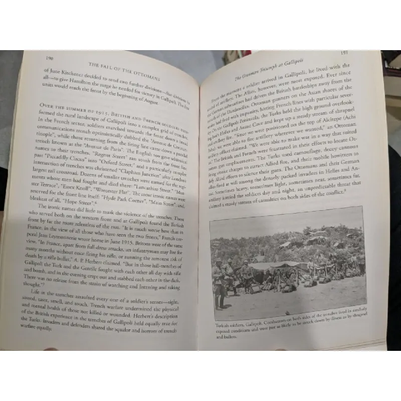 The Fall of the Ottomans - Eugene Rogan 689364