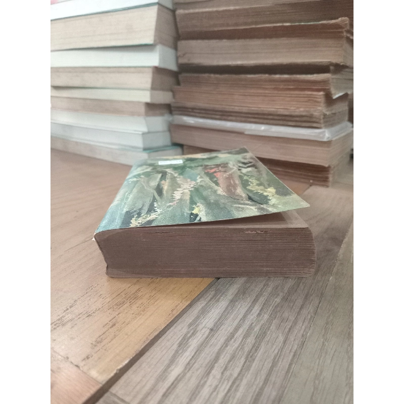 Forêt vierge - Ferreira de Castro 1011034