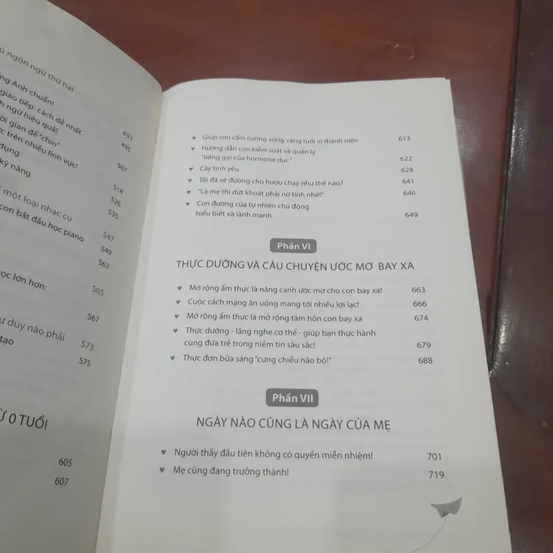 Mẹ Việt DẠY CON BƯỚC CÙNG TOÀN CẦU 594334