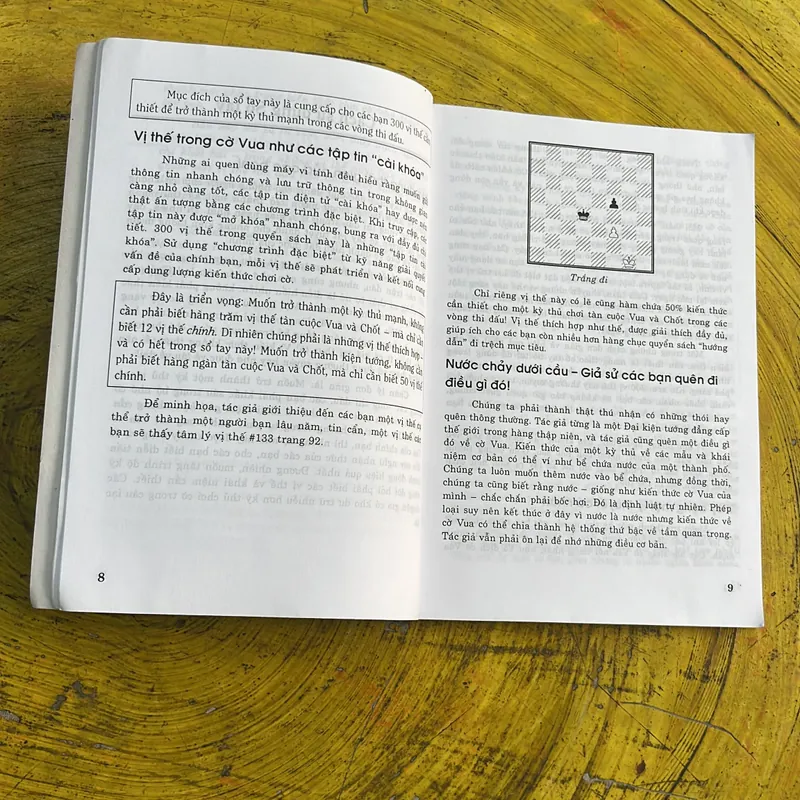 SỔ TAY CỜ VUA 300 Ý TƯỞNG VÀ VỊ THẾ QUAN TRỌNG- QUANG THÔNG 686809