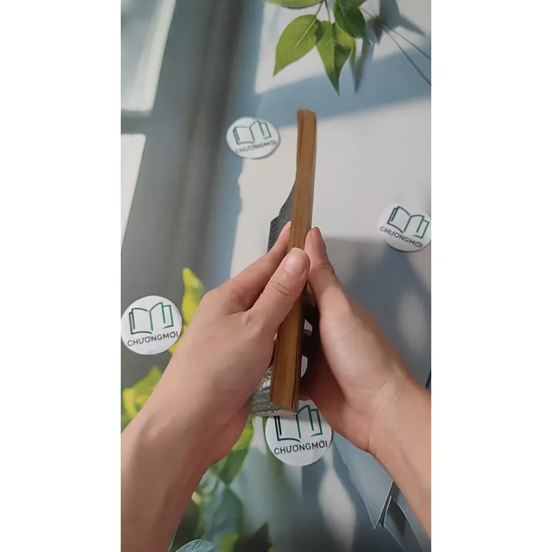 Sử Ca Việt Nam 970230