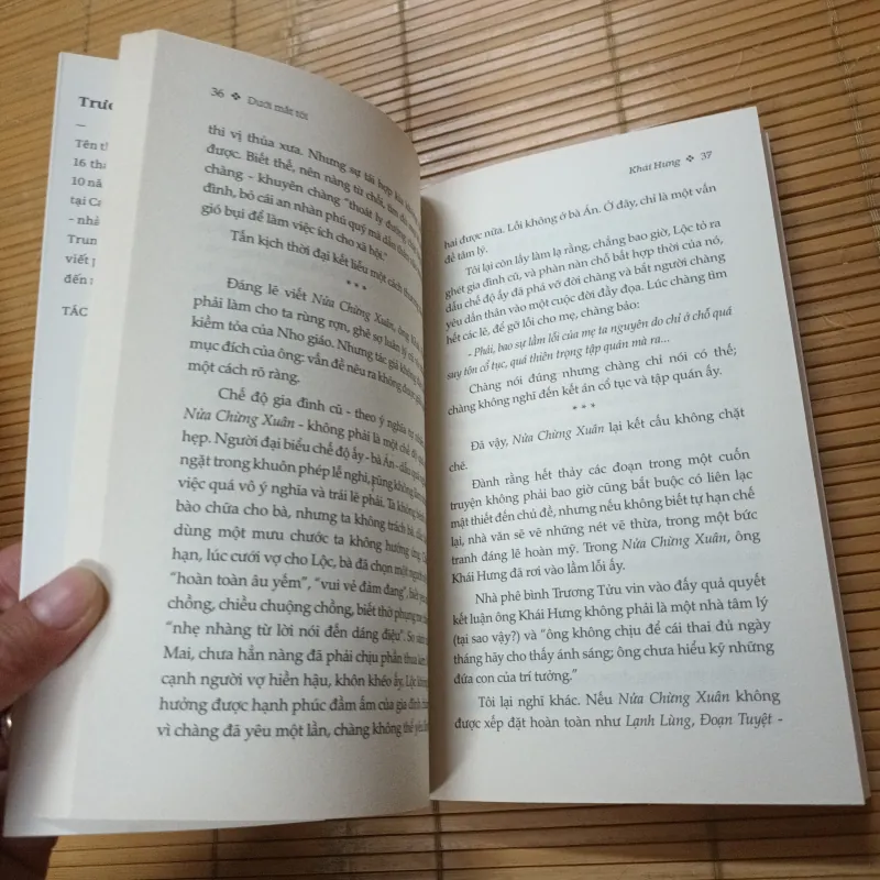 Dưới Mắt Tôi- Trương Chính 776254