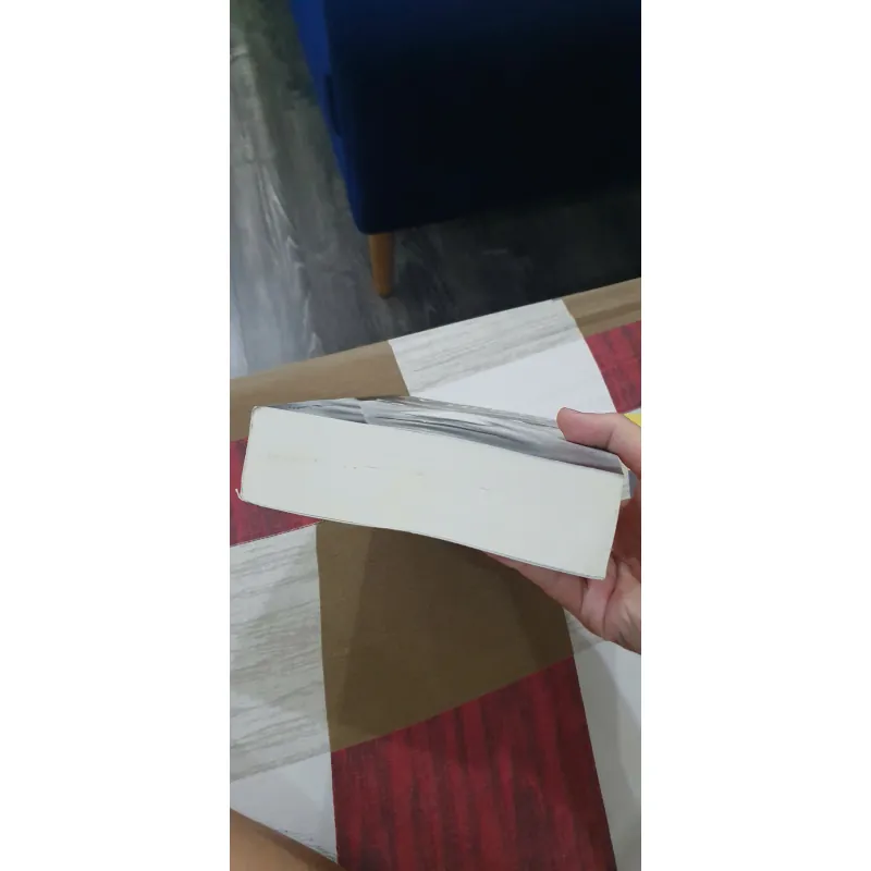 Lý Tiểu Long - Một Cuộc Đời Phi Thường - Matthew Polly, Mới 90% (TrieuL) 714345