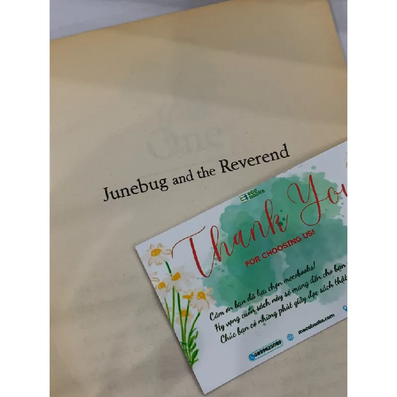 Junebug and the Reverend – Alice Mead 559629