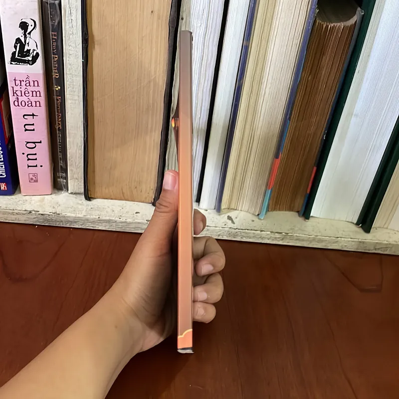II Sách Phật Giáo: Hỏi Đáp Phật Pháp - Phật Giáo Nguyên Thuỷ THERAVADA - Sư Thanh Minh 574575