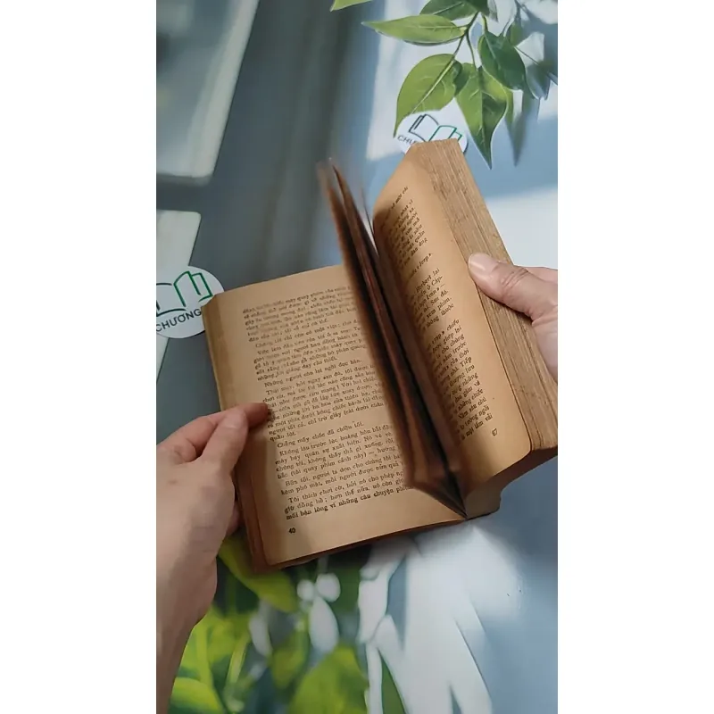 [XƯA] Homo Faber (1986) - Max Frisch 776069