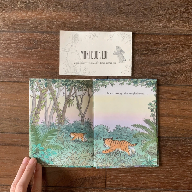 Sách ngoại văn Tiki and Taj the Tiger Twins, Used, Khổ nhỏ, Bìa cứng 498846