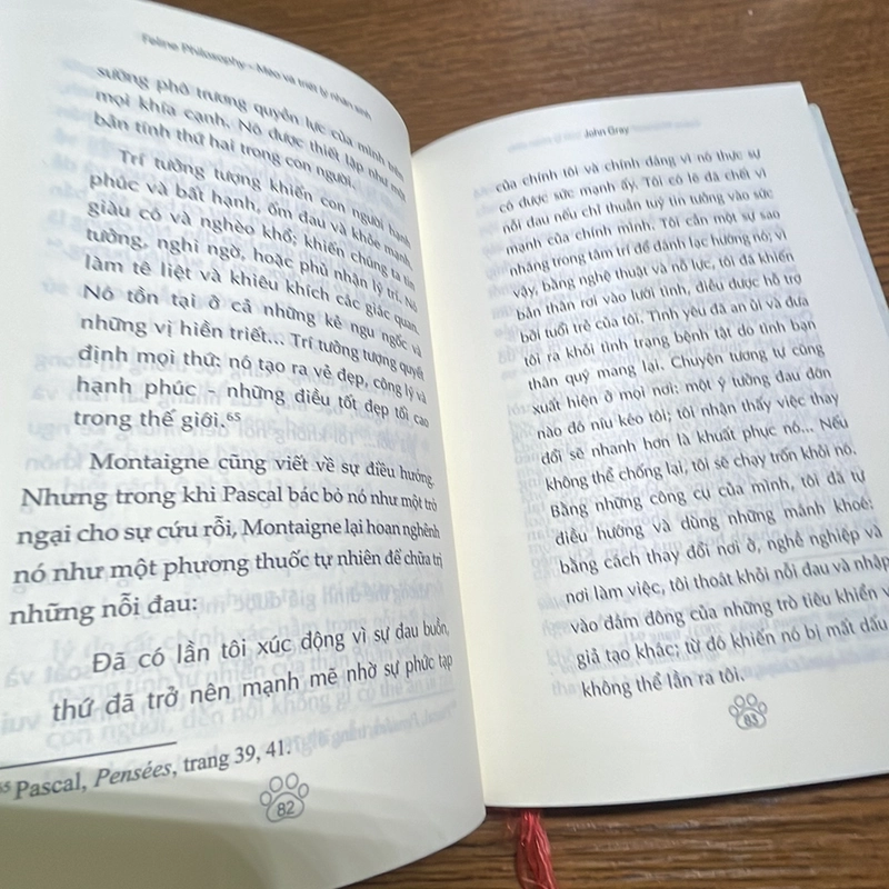Mèo và triết lý nhân sinh John Gray 453019