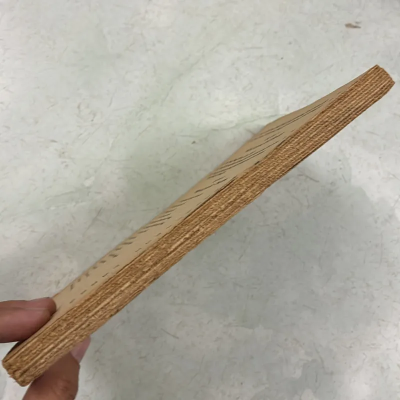 Lượng giác lớp 10 - 1988s 1006838