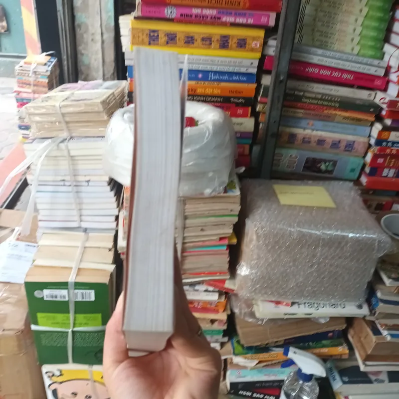 Dịch. Sự bảo vệ & Minh giải đa ngôn ngữ - Francois Ost 792203