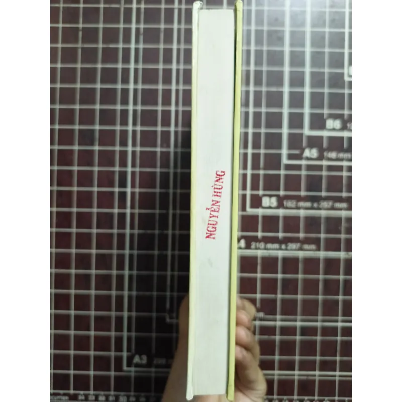 Nguyễn Công Trứ bài ca ngất ngưởng - Nguyễn Viết Ngoạn 731163