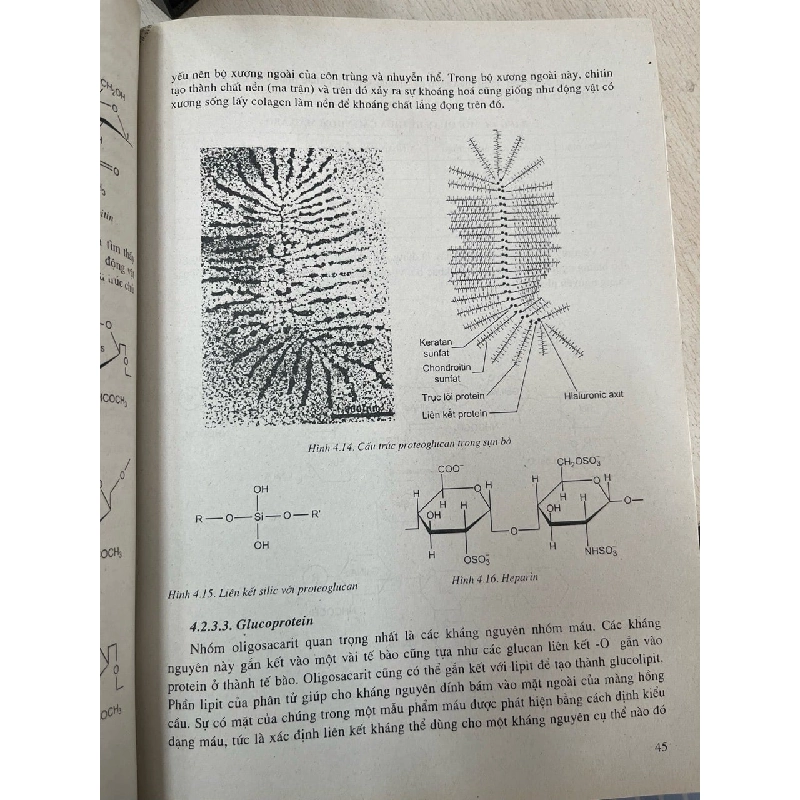 Cơ sở hoá sinh - PGS, TS. Trịnh Lê Hùng 994444