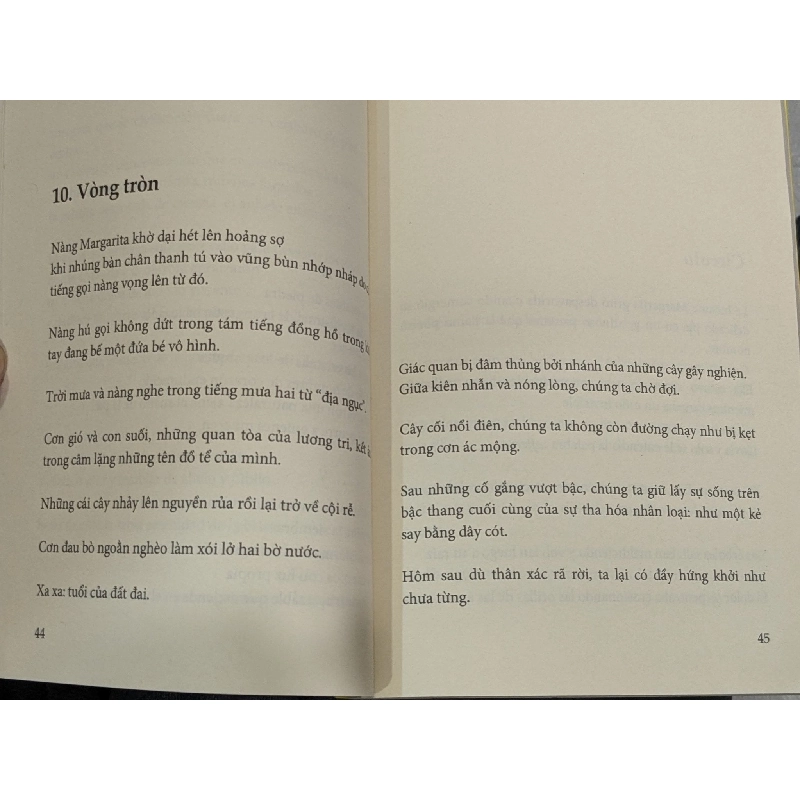 Tương lai được viết trên đá cổ - Fernando Rendón 799685