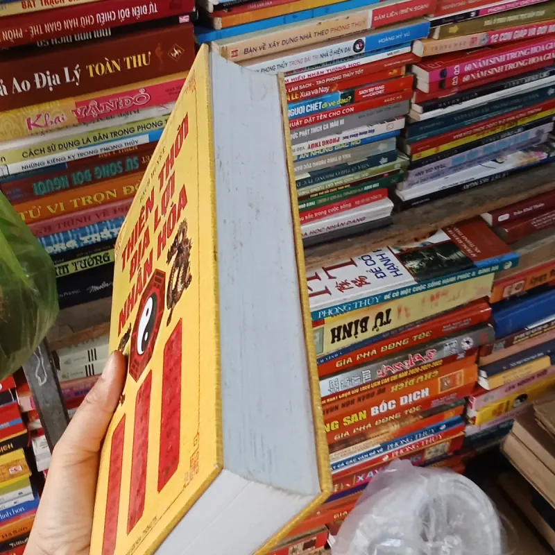 Thiên Thời Địa Lợi Nhân Hoà- Bạch Huyết  795889