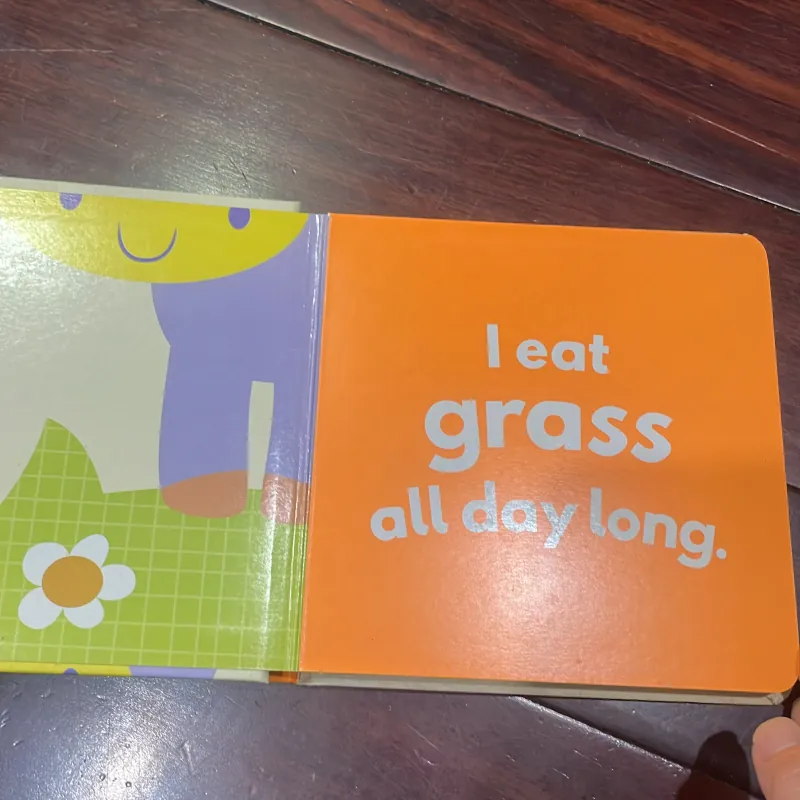 NGOẠI VĂN SÁCH TIẾNG ANH TRẺ EM : GUESS WHO? FARM - fold out book! Little beginners  1028116