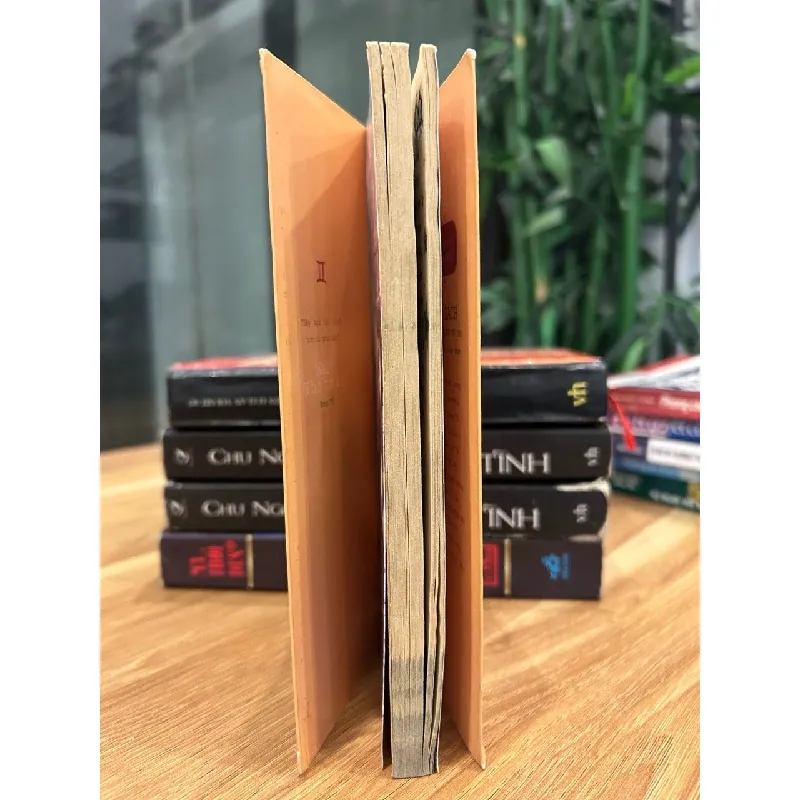 Thế giới Song Tử (12 mảnh ghép vũ trụ) – Tuyển tập 571449