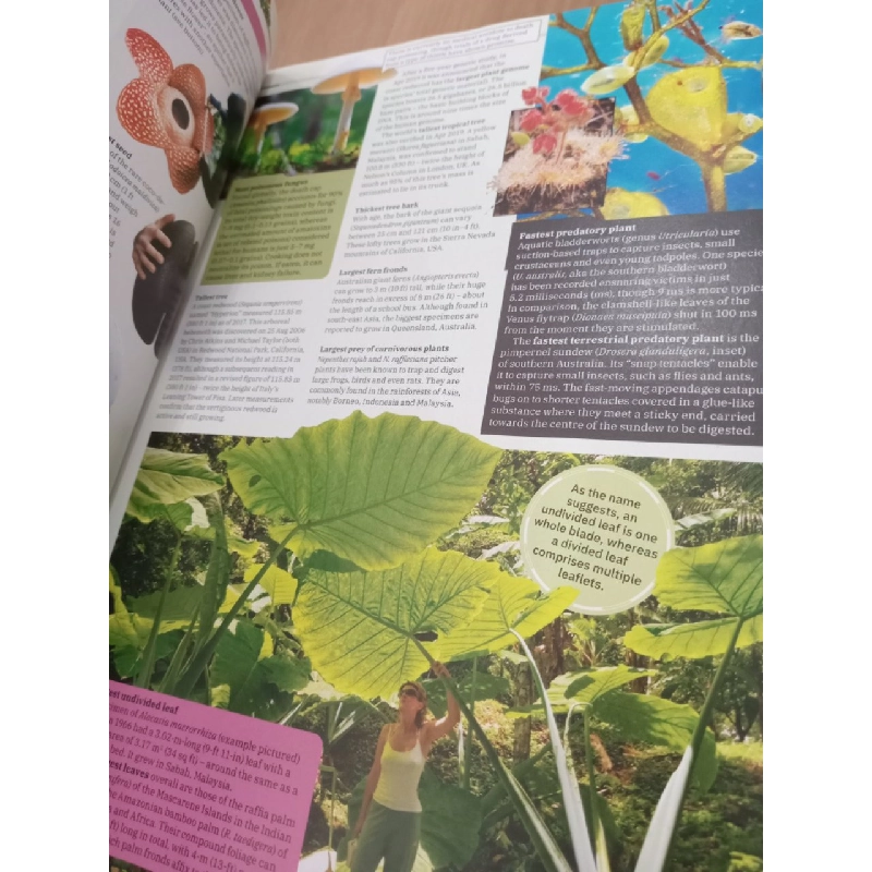 Guinness world records 2021 552240