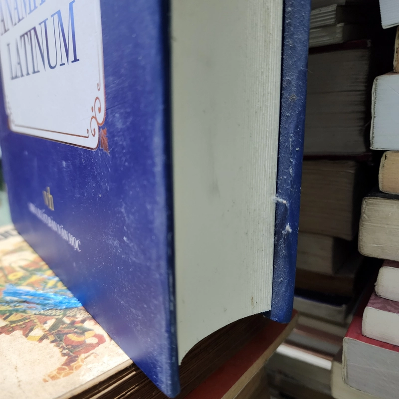 Dictionamrium Anamitico Latinum | J.L. Taberd | bìa cứng 443317