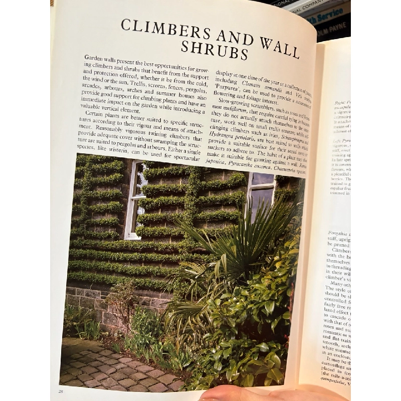 The garden designer selecting plants - Caroline Boisset and John Walker 1008072