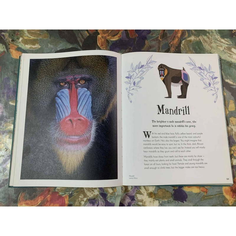 An Anthology of Intriguing Animals 538463